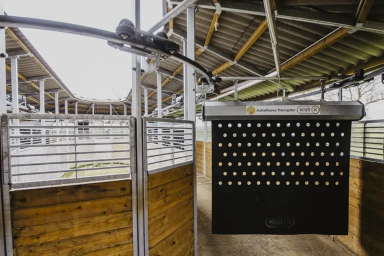 Ovale Führanlage von Kraft