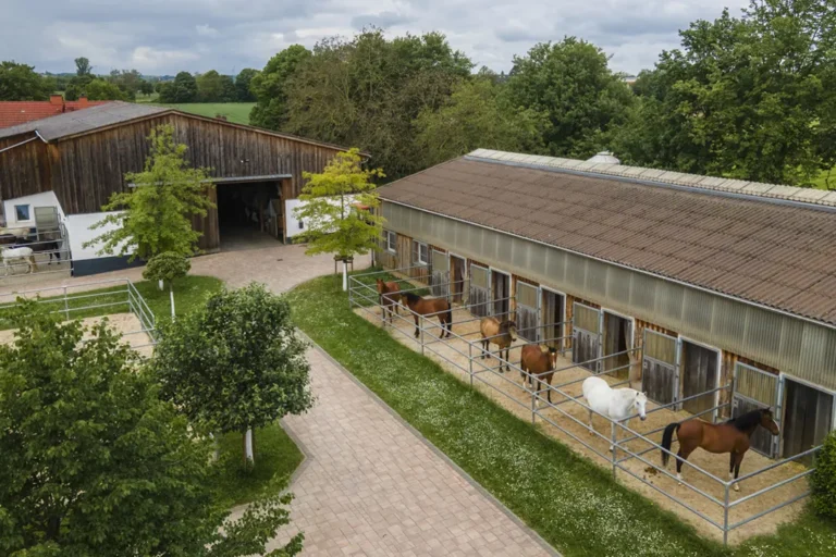 Paddockboxen mit Sand