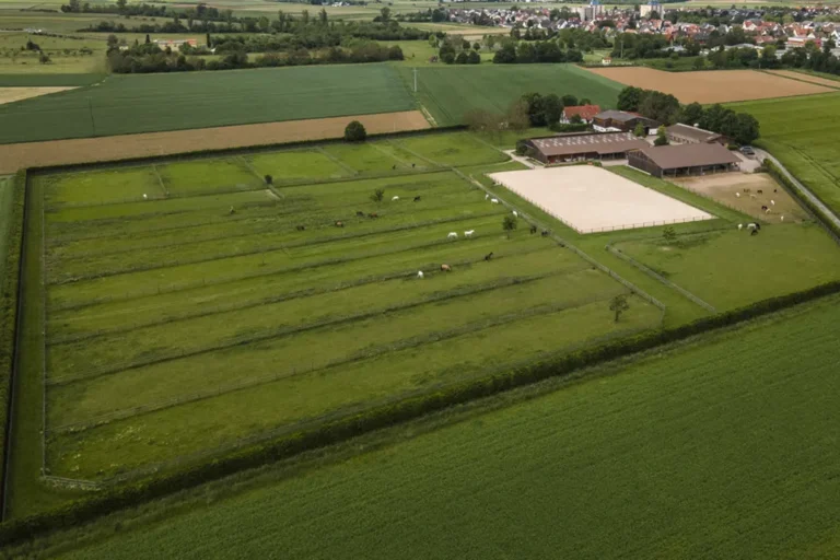 Pferdeweiden umgeben von Hecke