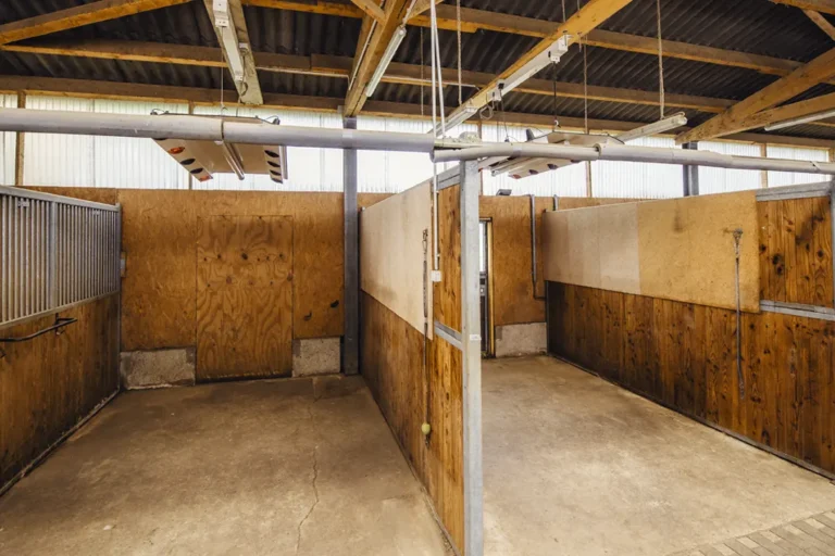 Putzplätze mit Solarium