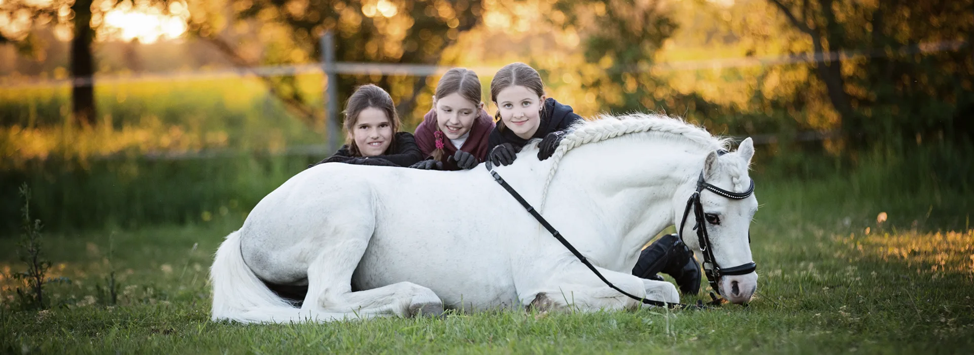 Reiten fuer Kinder