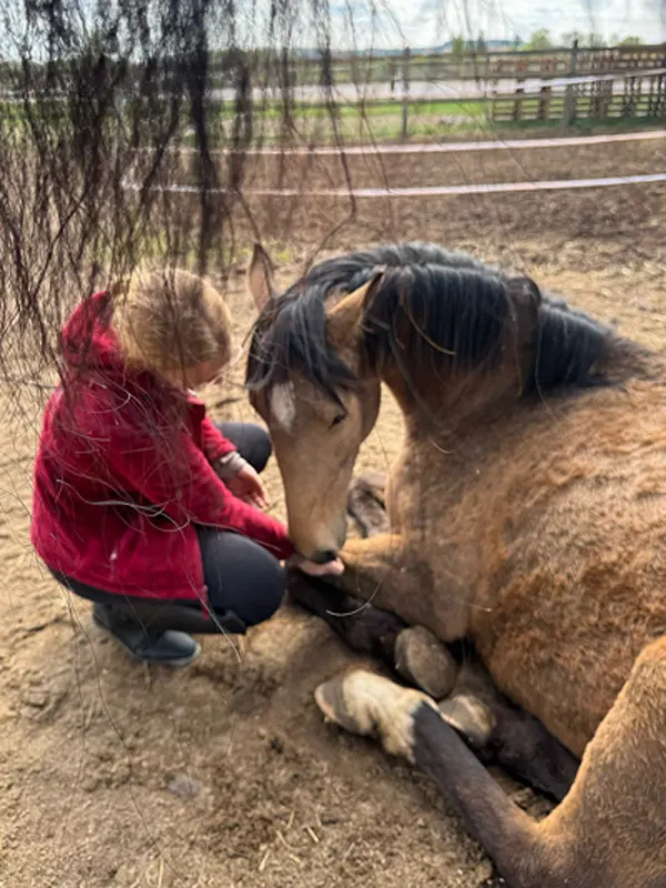 Ponyreiten Kinder