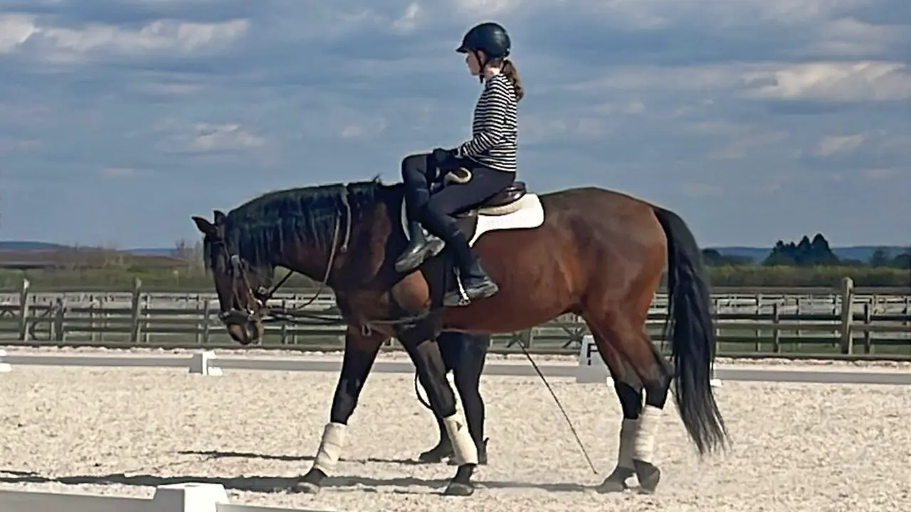 Reiten im Damensattel