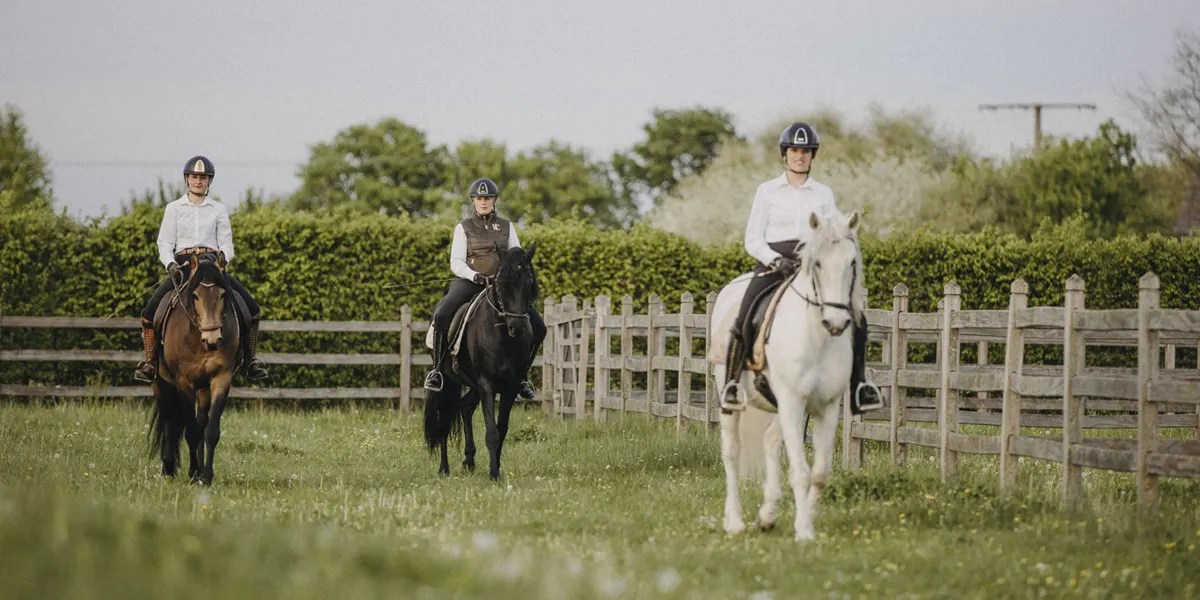 Reiten für Erwachsene