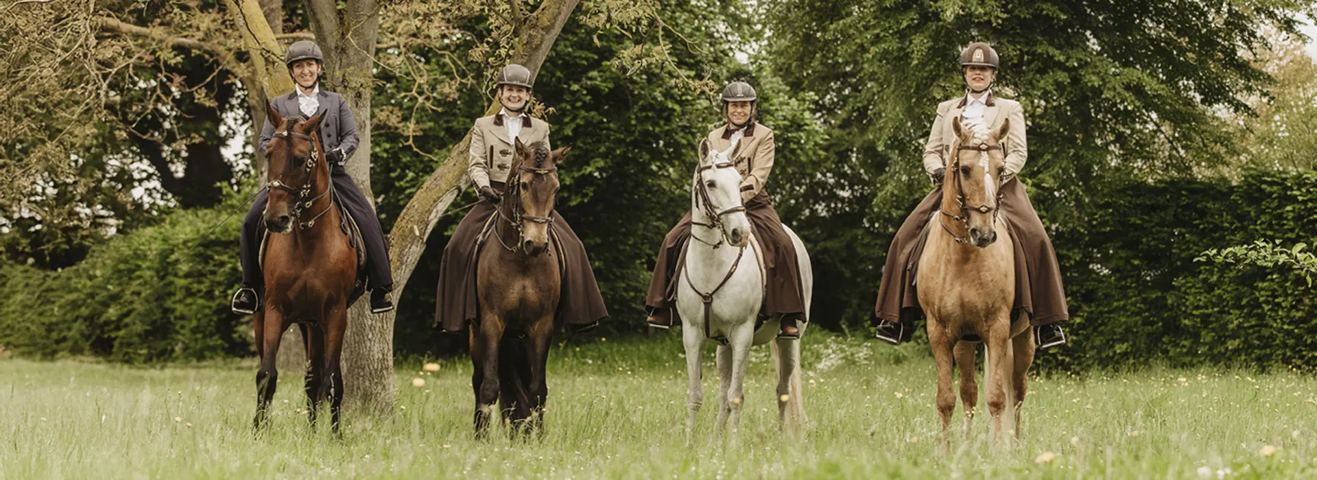 Reiten fuer Erwachsene