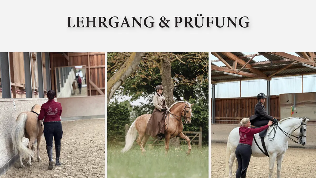 Nussbaumhof_Trainer C Lehrgang